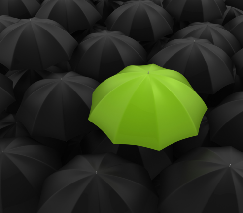 Brand and Logo Development at Ireland Website Design