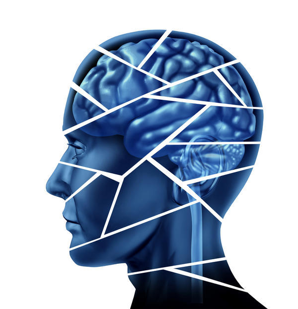 Mental Triggers in Website Design
