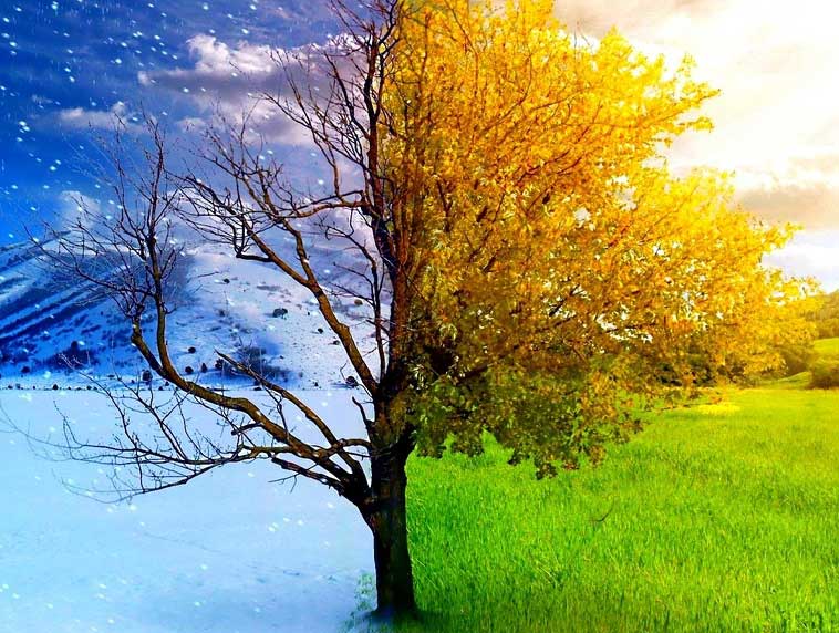 A Websites Guide to Seasonal Marketing