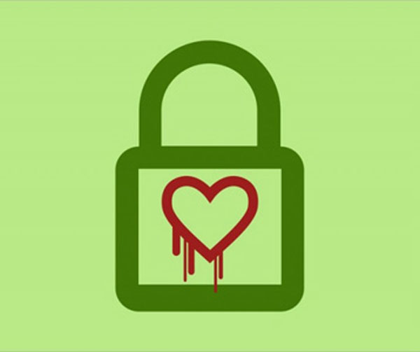Heartbleed Bug Heartbleed Bug