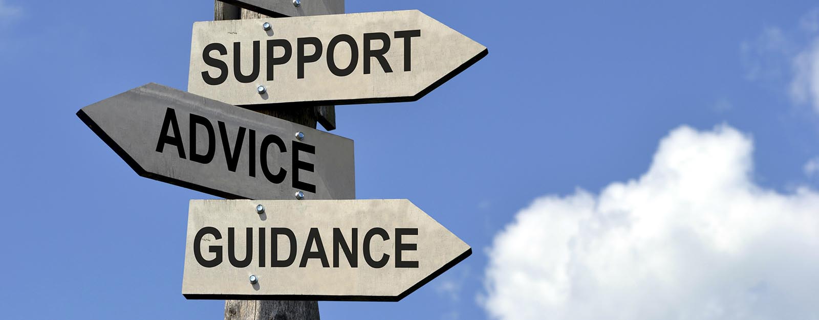 Looking After my Website - Will I Need Support? website support