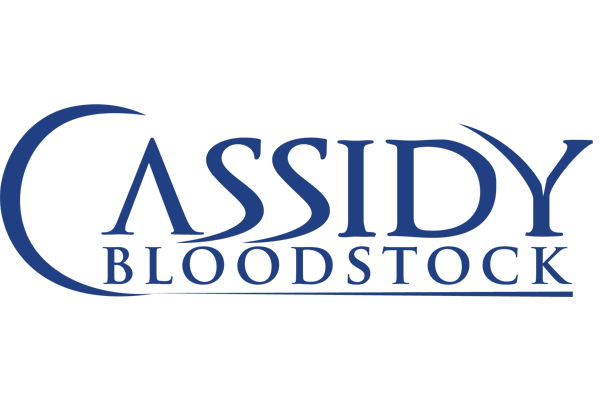 Casidy Bloodstock logo design