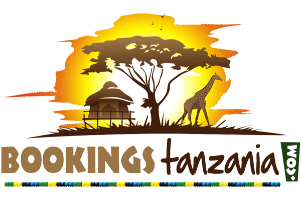 Bookings Tanzania logo design