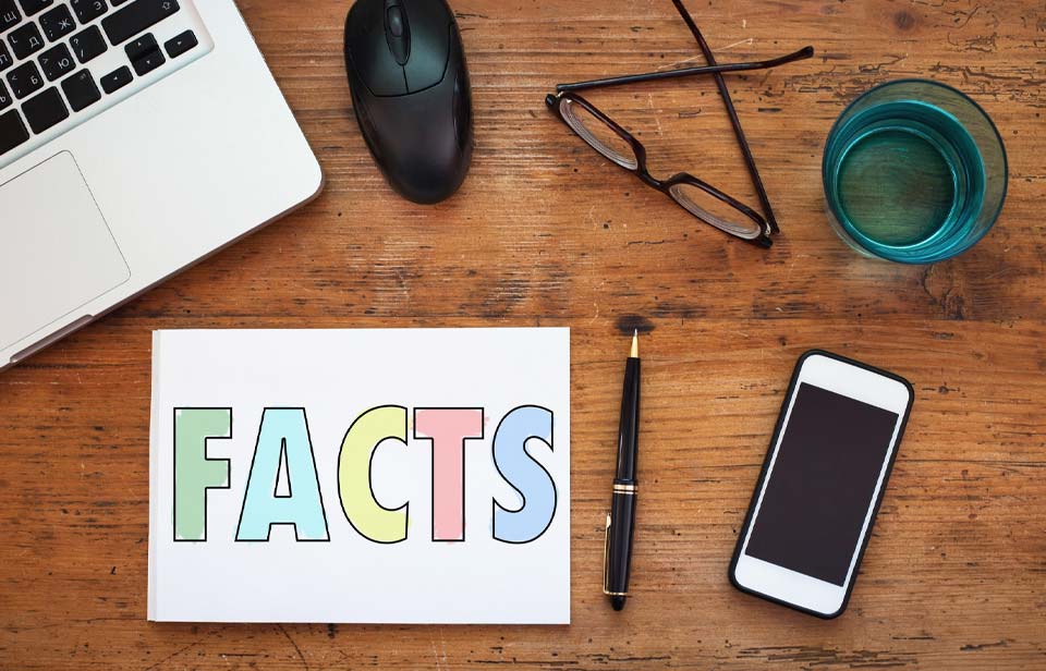 Interesting SEO Facts confirmed by Matt Cutts of Google