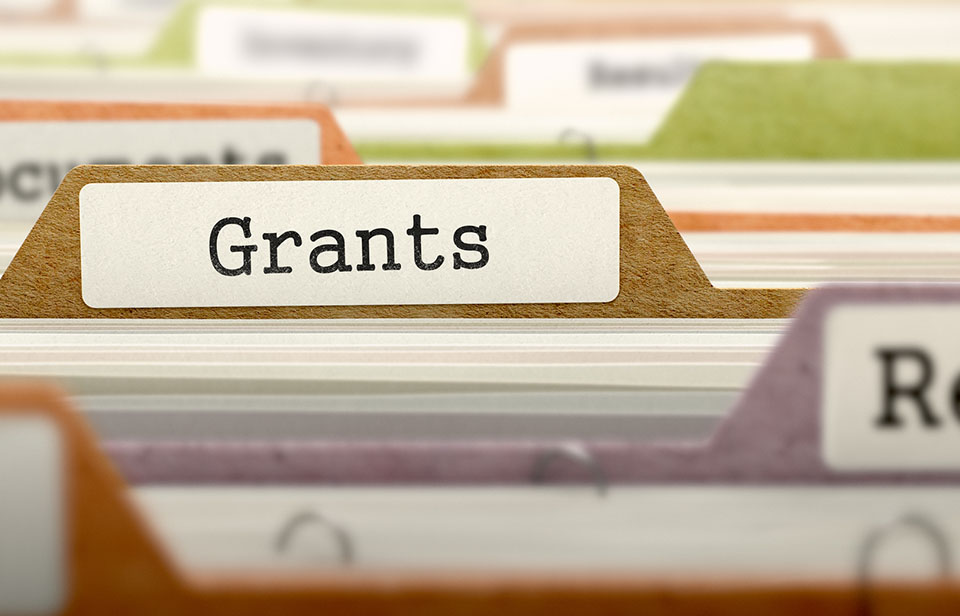 Grants Available for your Website and IT Costs