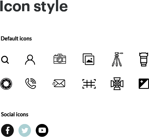 Icon Style