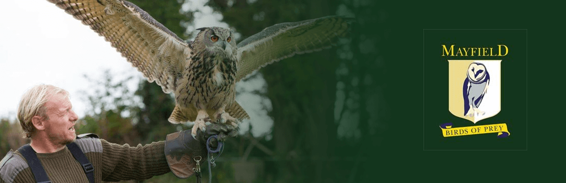 Mayfield Birds of Prey