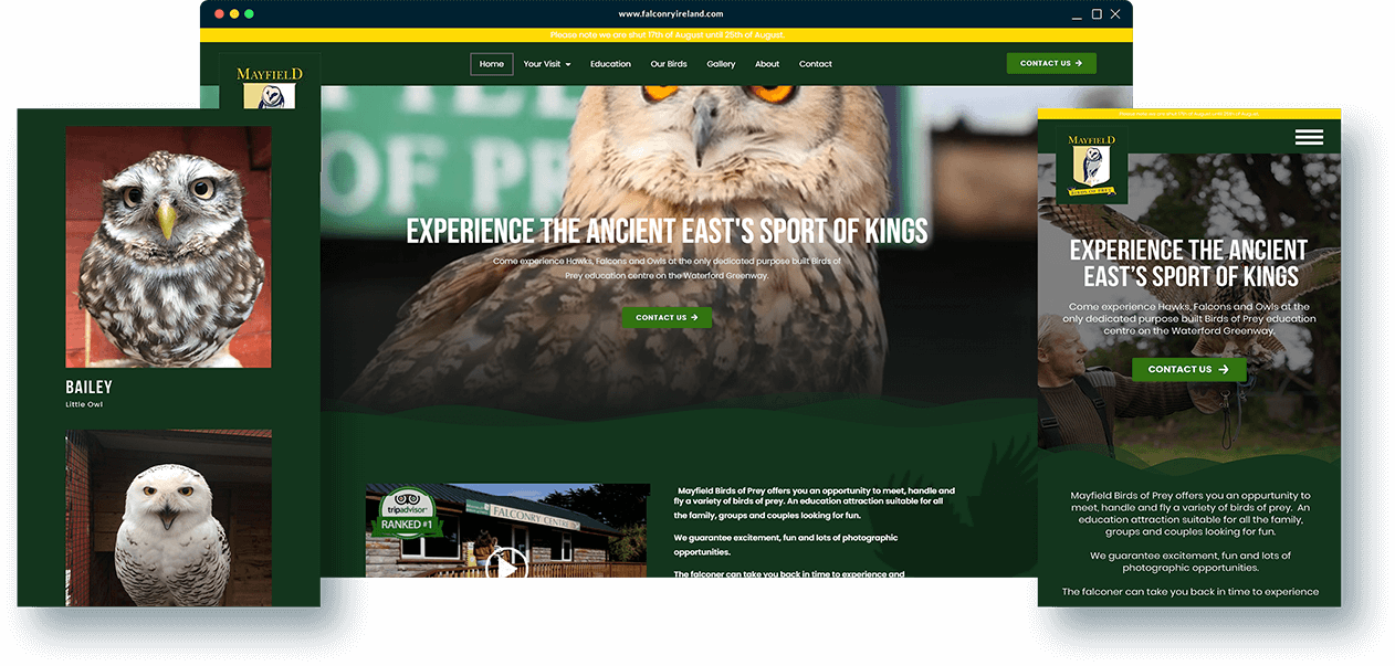 Mayfield Birds of Prey Banner MockUp