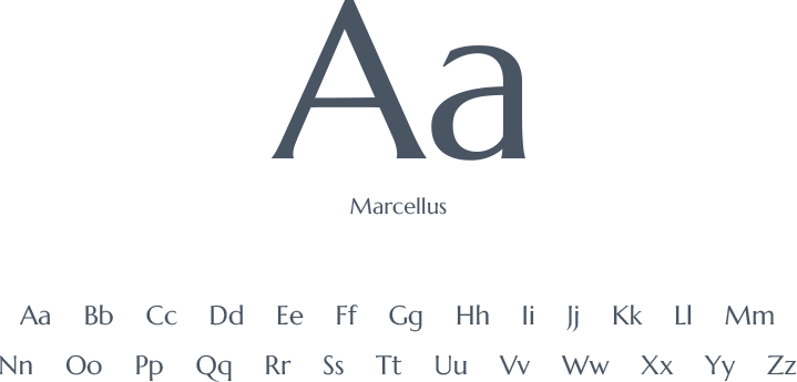 Geoghegans of Navan Typo 1