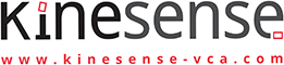 Kinsenses LOGO