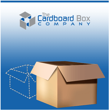 Project Cardboard Box
